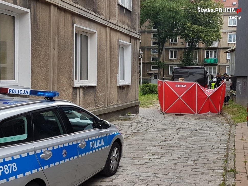 Śmiertelne potrącenie pieszej