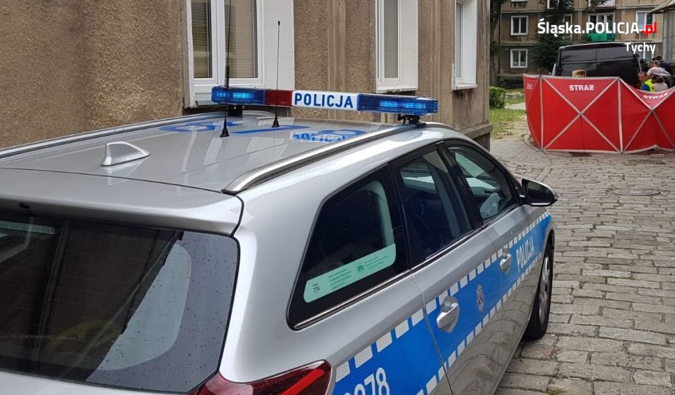 Śmiertelne potrącenie pieszej