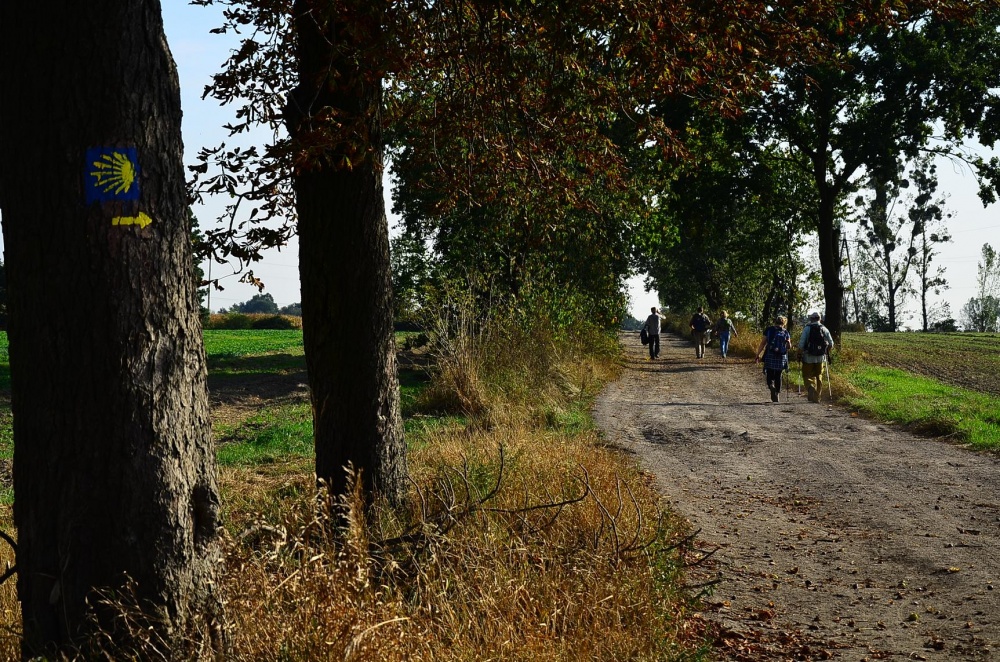 Camino - Szlak św. Jakuba