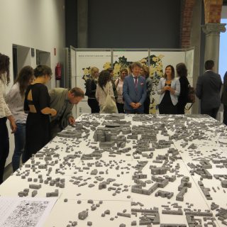 Jak wygląda Metropolia?