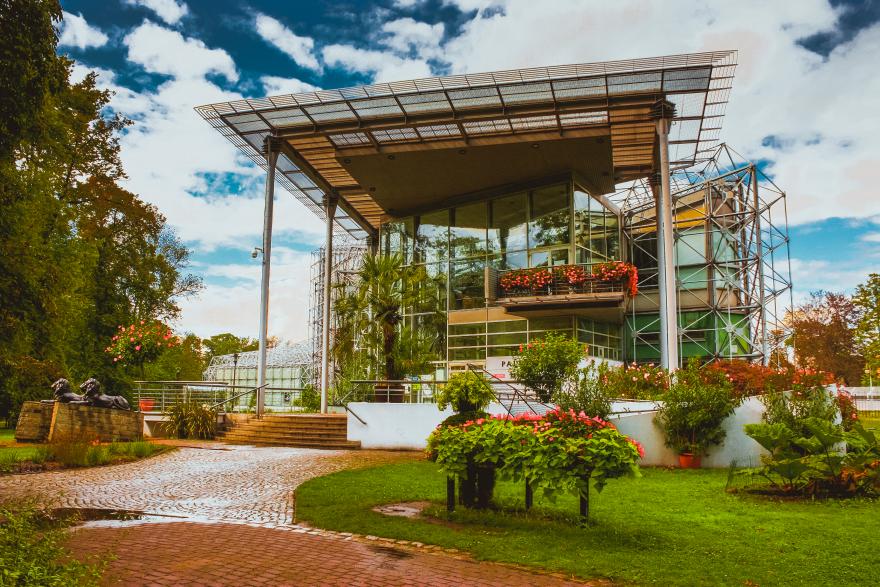 Palmiarnia zamknięta. Trwa remont