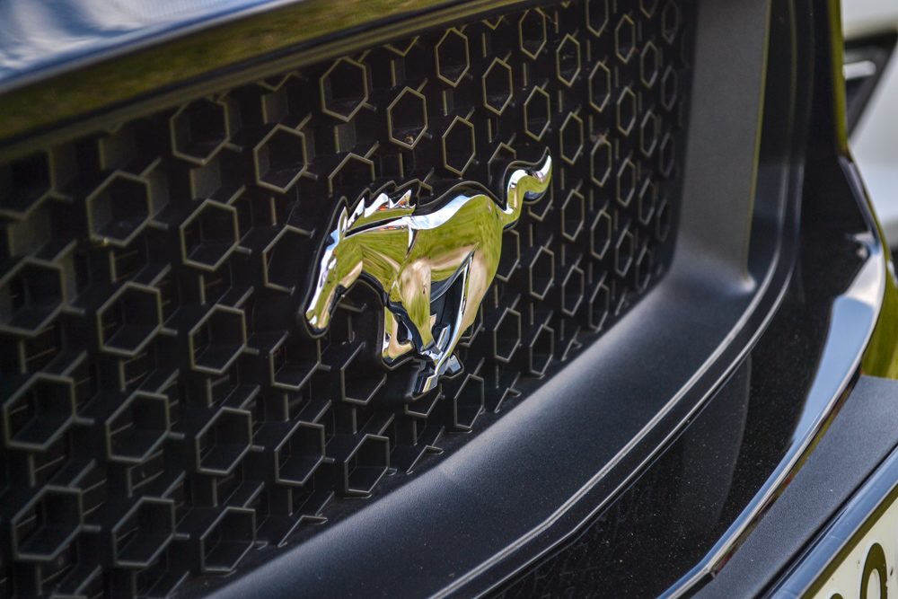 Łogień! Fajera! Samoloty i wojsko na Muchowcu! 15