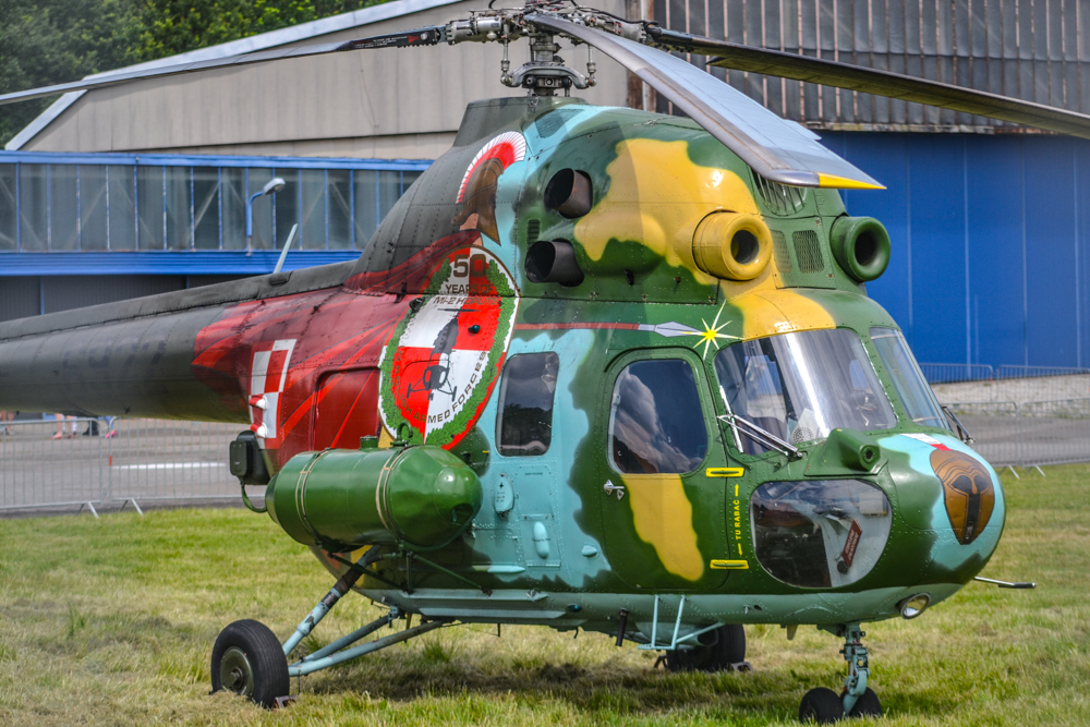 Łogień! Fajera! Samoloty i wojsko na Muchowcu! 20