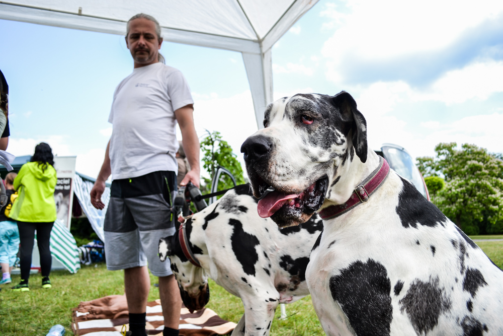 Zwierzynalia w Parku Śląskim - weź bądź! [ZDJĘCIA]