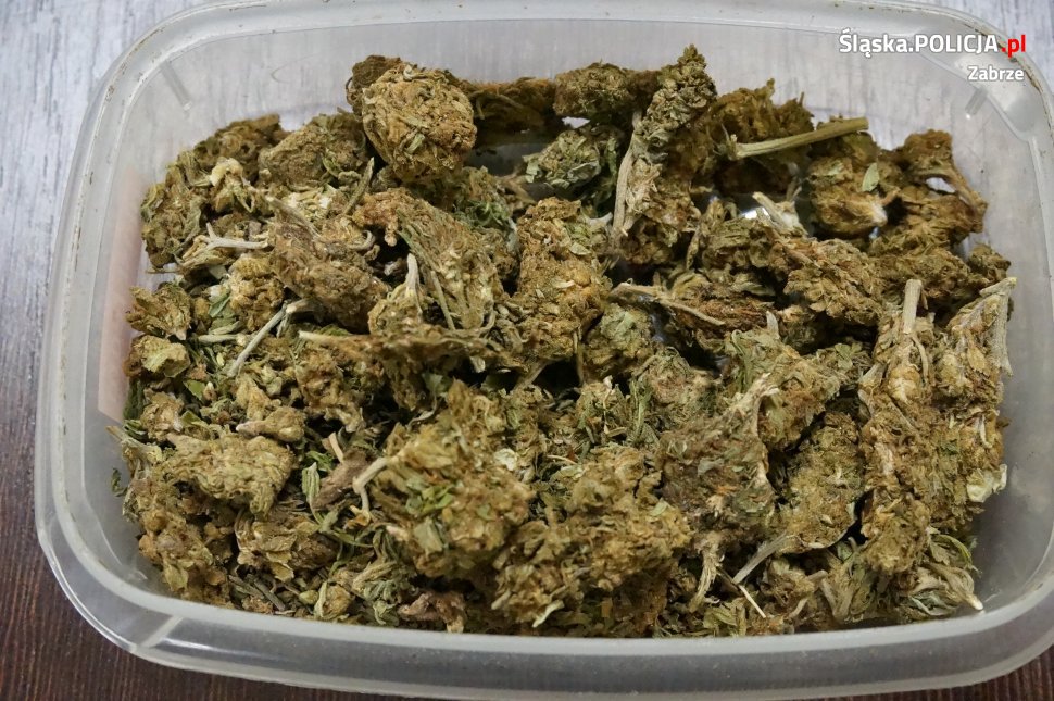 W pudełku po odżywce miała marihuanę