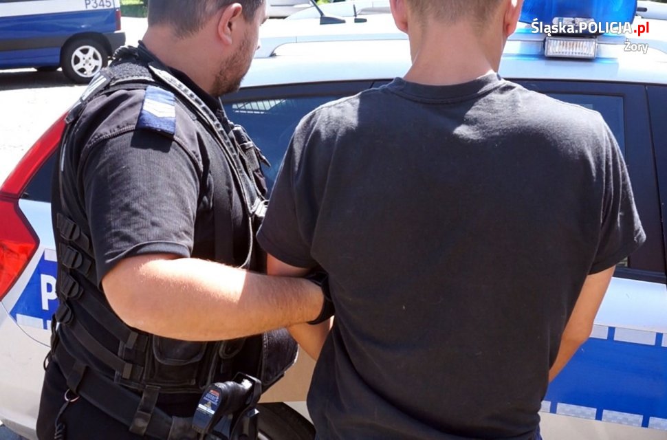 Tymczasowy areszt dla podpalacza z Żor