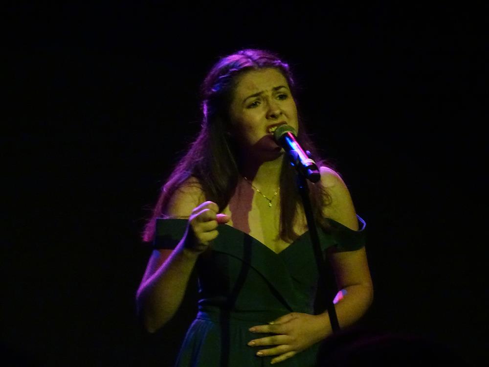 Musicalowe hity na romantycznym koncercie