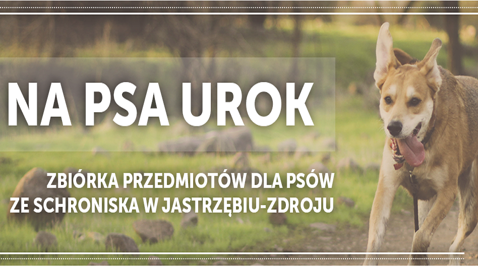 Na psa urok - zbiórka dla zwierząt w MBP