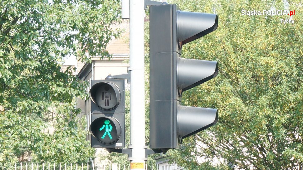 Mundurowi prowadzili lustrację dróg