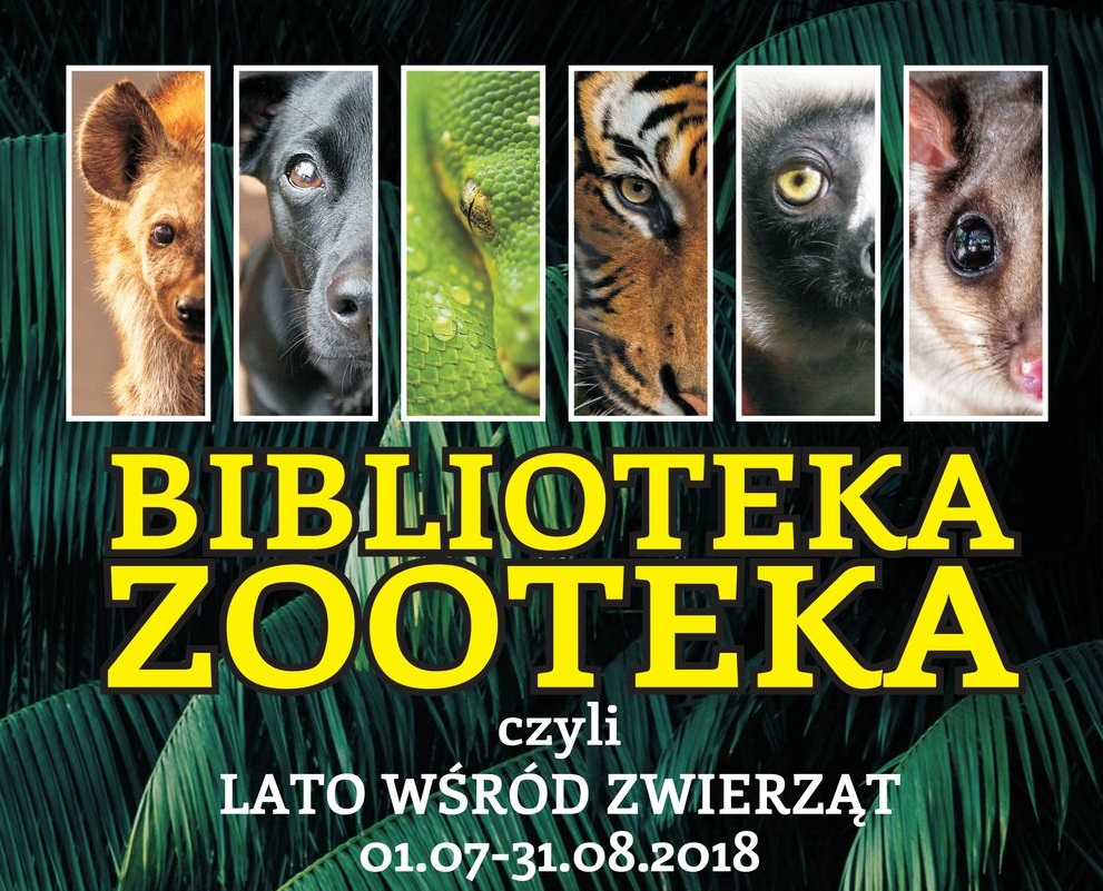 Wakacyjne konkursy w MBP