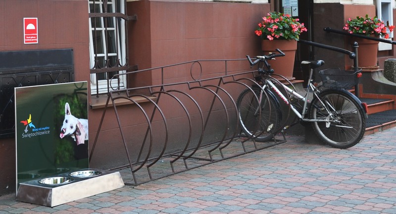 Przed urzędem pojawiły się miski z wodą dla psów