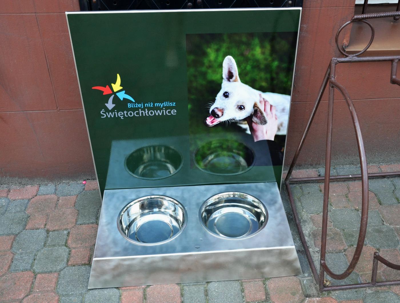 Przed urzędem pojawiły się miski z wodą dla psów