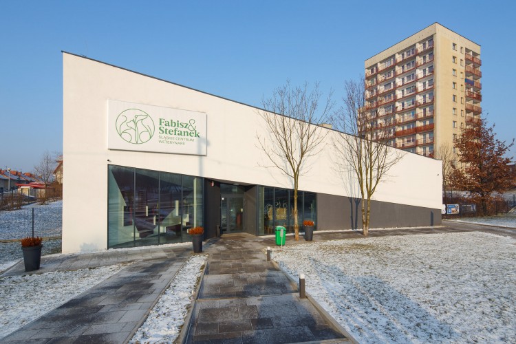 Najlepsza Przestrzeń Publiczna w Chorzowie? Zagłosuj!