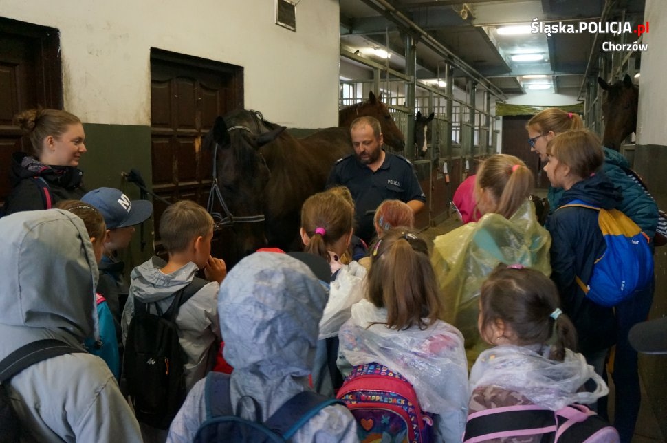 "Kręci mnie bezpieczeństwo...w wakacje"