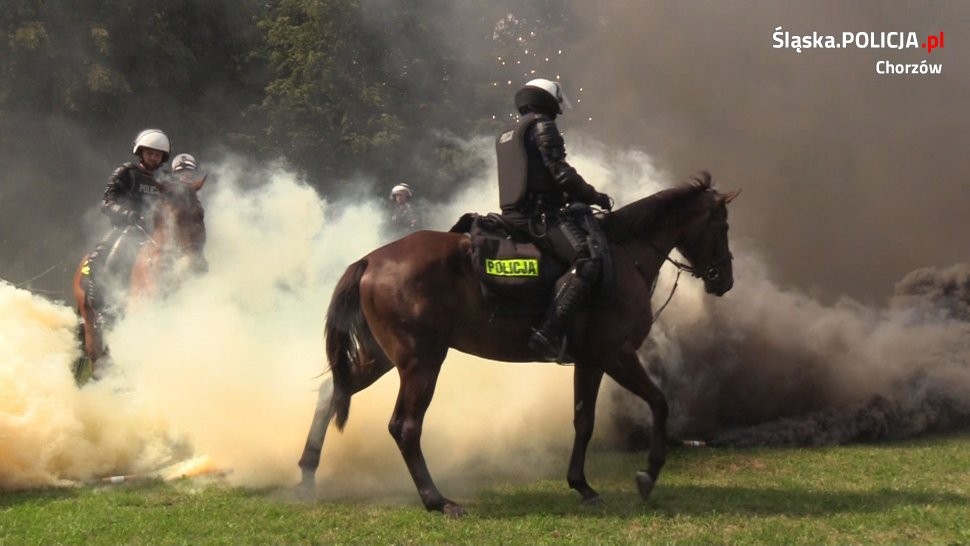 Święto Policji w chorzowskim garnizonie