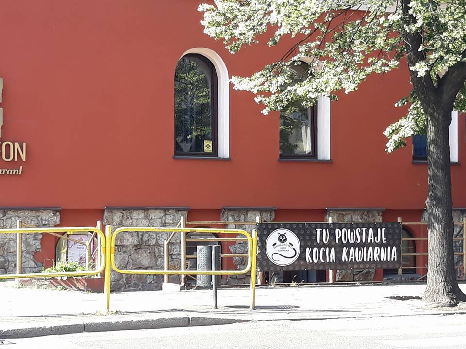 W Zabrzu powstaje Kocia Kawiarnia!