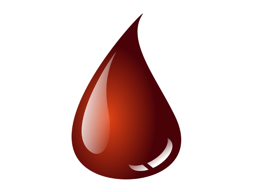 Akcja Krwiodawstwa w Klubie Rebus