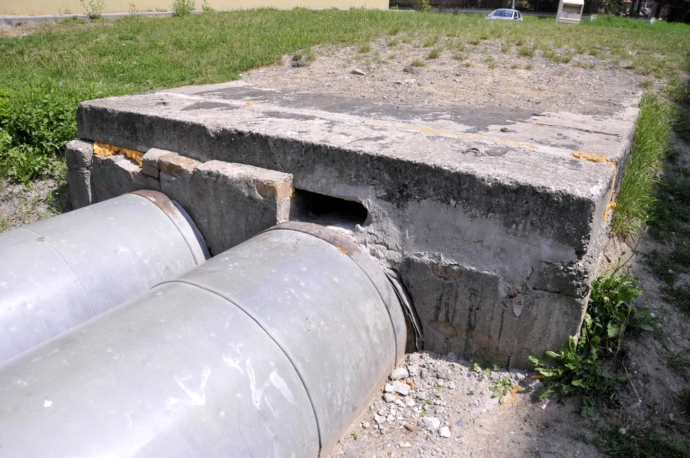 Co się stało na Rudzie? Czy koty zamurowano żywcem?