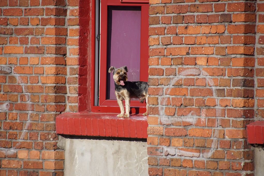 Jak to na Rudzie bywało... 35