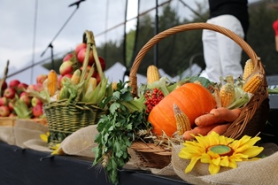 XXV Dożynki Miejskie