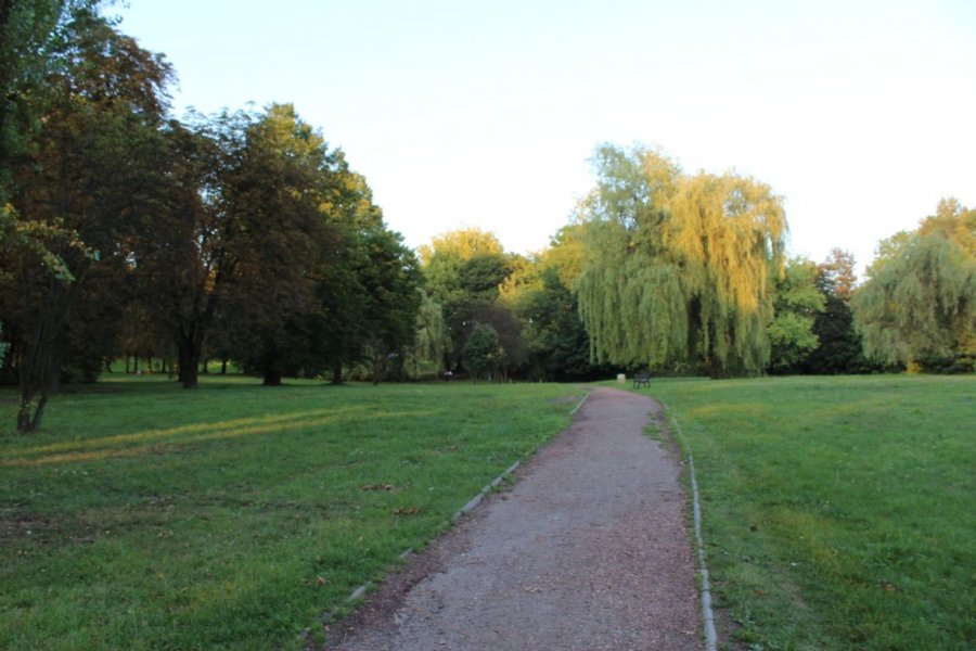 Fazaniec i Park Mickiewicza w odnowie