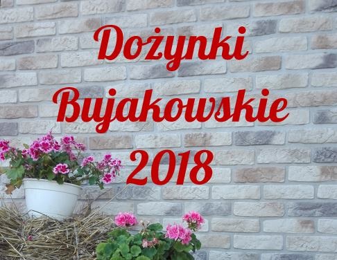 Dożynki w Bujakowie
