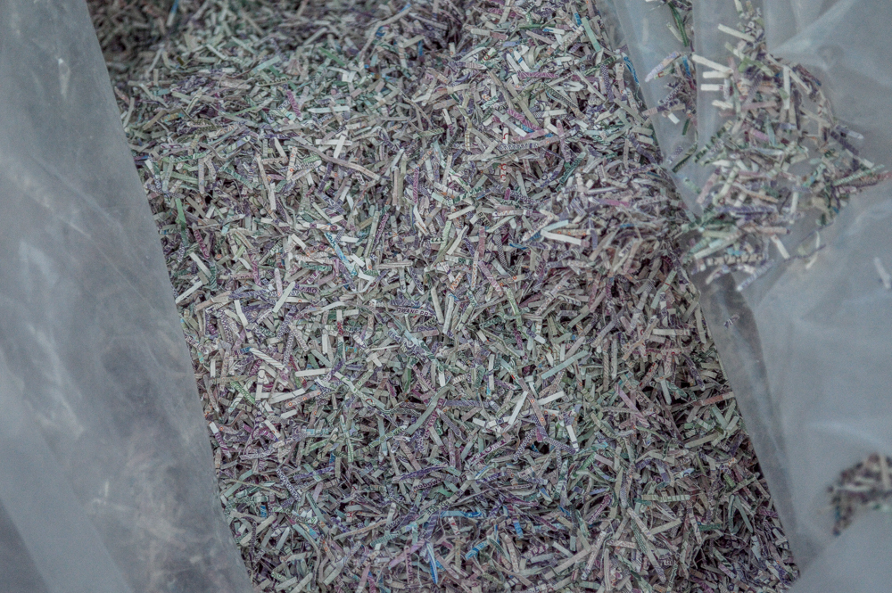 Za nami Piknik Niepodległości 33