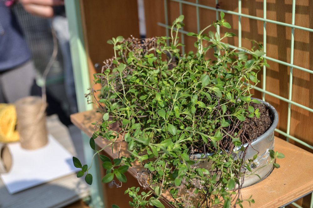 Ekopawilon otwarty! 11