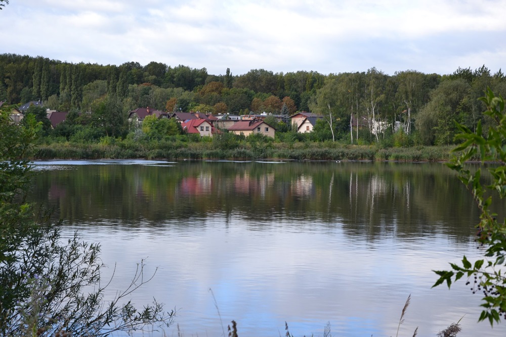 Czy Kalina w końcu odzyska swój dawny blask?