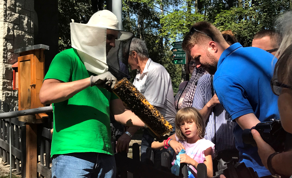 Miodek nie tylko dla misiów o małym rozumku