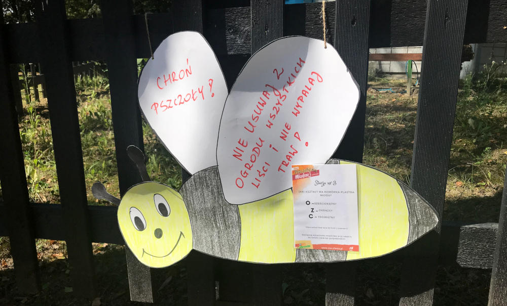 Miodek nie tylko dla misiów o małym rozumku