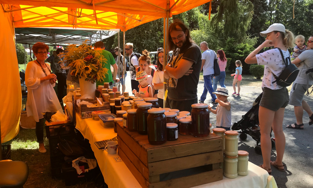 Miodek nie tylko dla misiów o małym rozumku