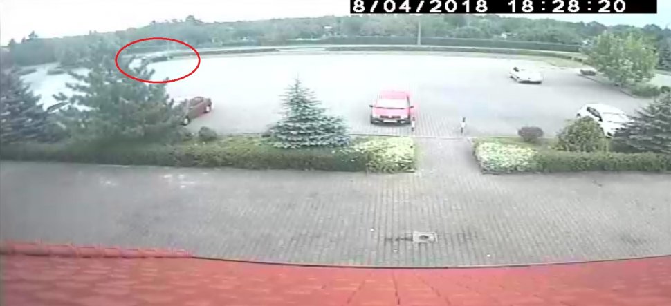 Policja poszukuje świadków kolizji