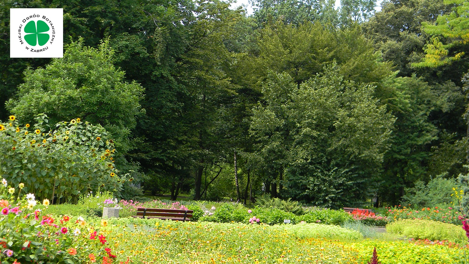 W Ogrodzie Botanicznym powstanie edukacyjna ścieżka