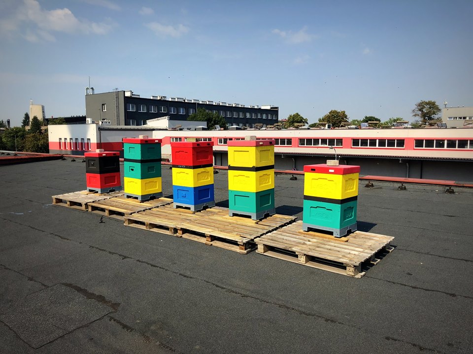 Elzab też jest eko - wspiera pszczoły!