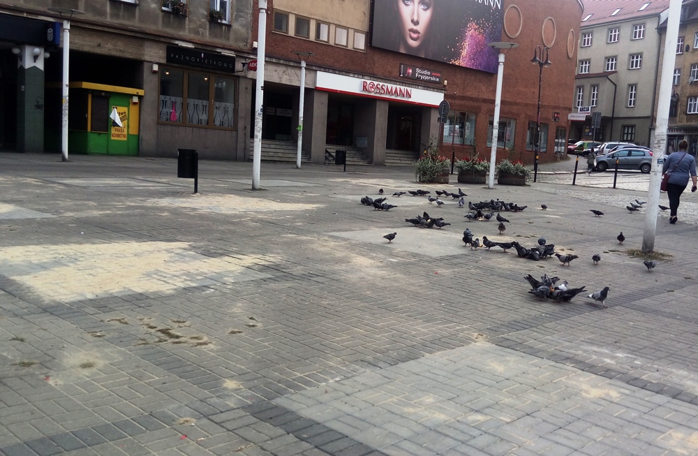 Zniknęły krzaki z placu Wolności. Idzie nowe...