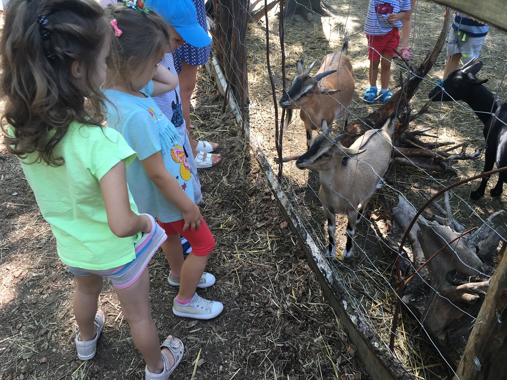 Nowe atrakcje w Twinpigs