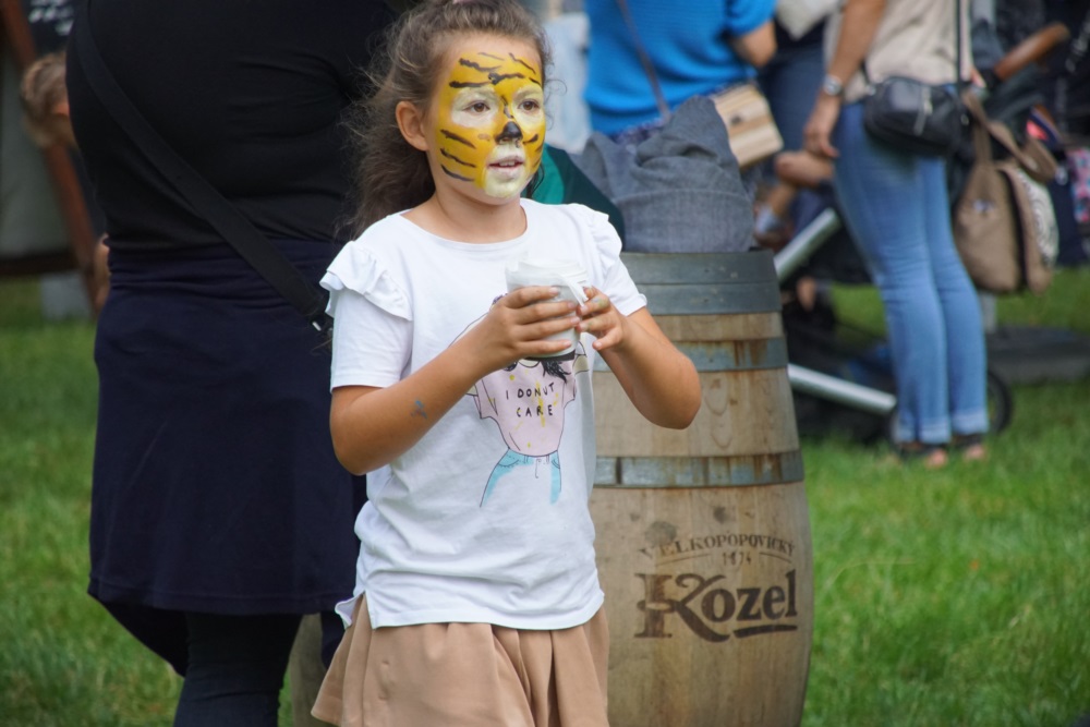 Festyn Kochłowice 61