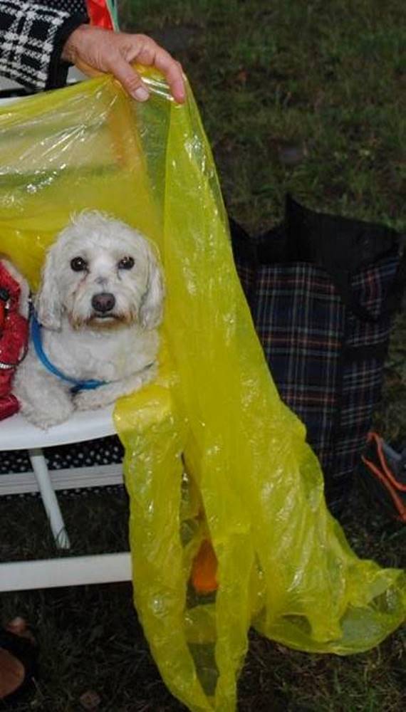 Osiedlowy Piknik Rodzinny w Bykowinie 62