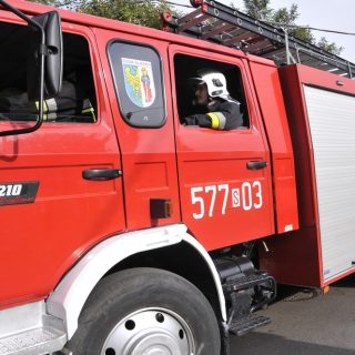 Dożynki i Festiwal Żuru 22