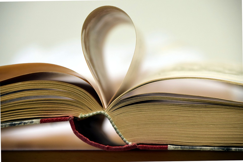 S.N.U.F.F. -  bestsellerowa postapokaliptyczna powieść