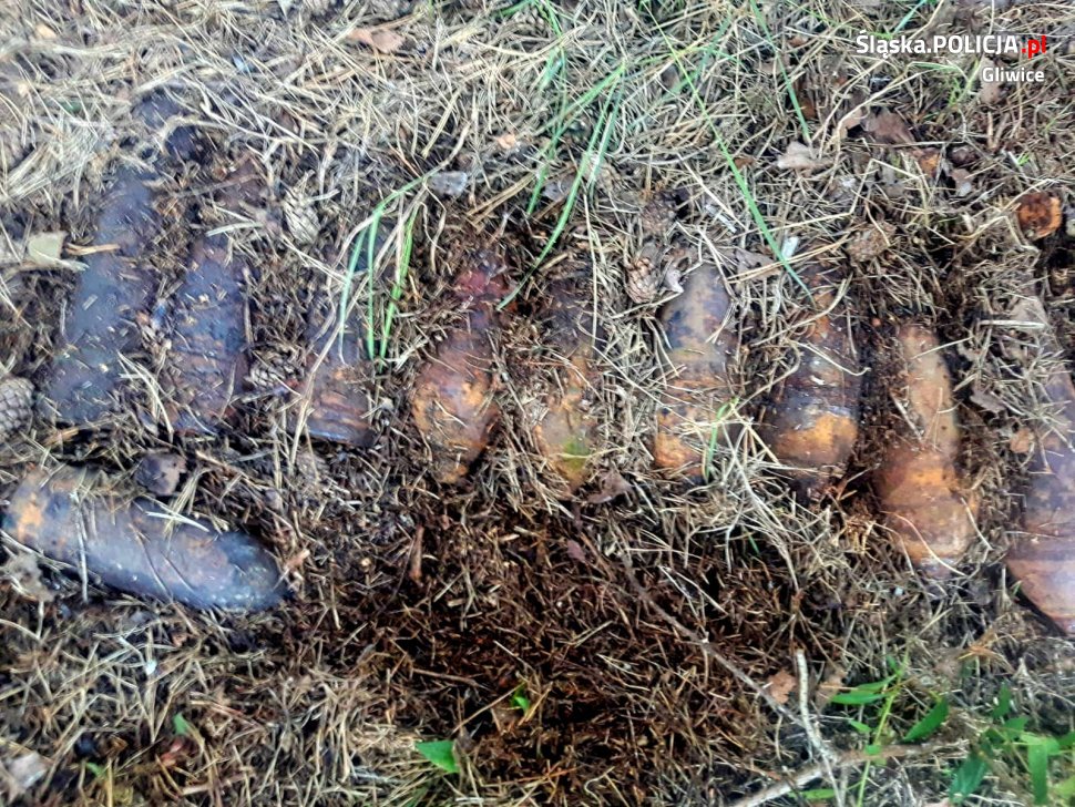 Zamiast grzybów znalazł bomby 10 niewybuchów