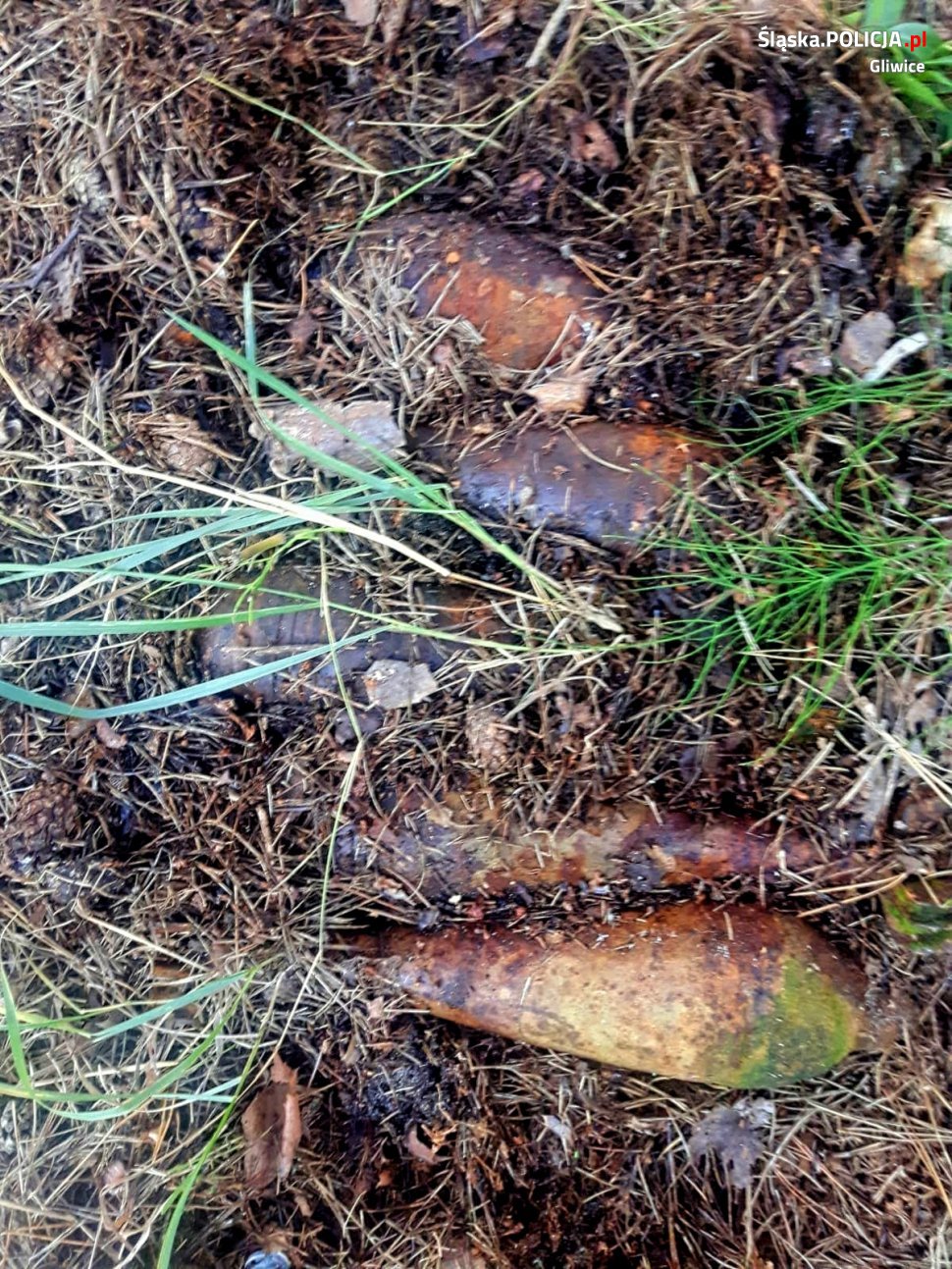 Zamiast grzybów znalazł bomby 10 niewybuchów