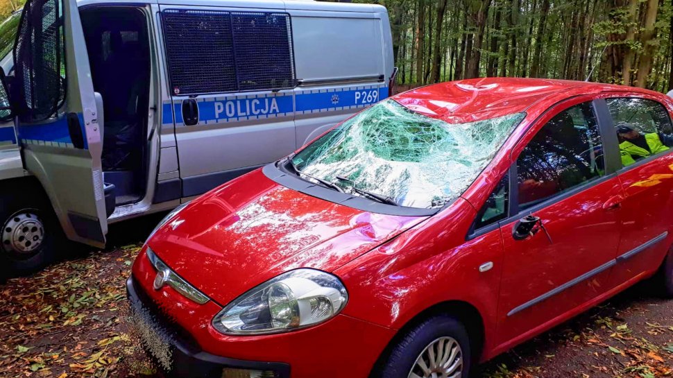 Uważajmy w terenach zadrzewionych