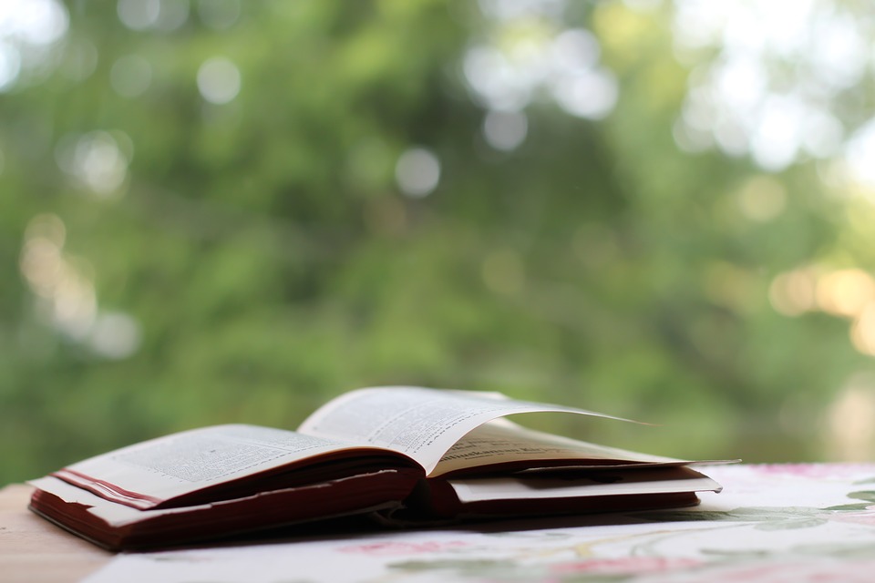 S.N.U.F.F. -  bestsellerowa postapokaliptyczna powieść