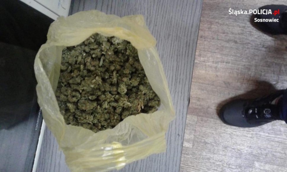 Wpadł kierujący po narkotykach