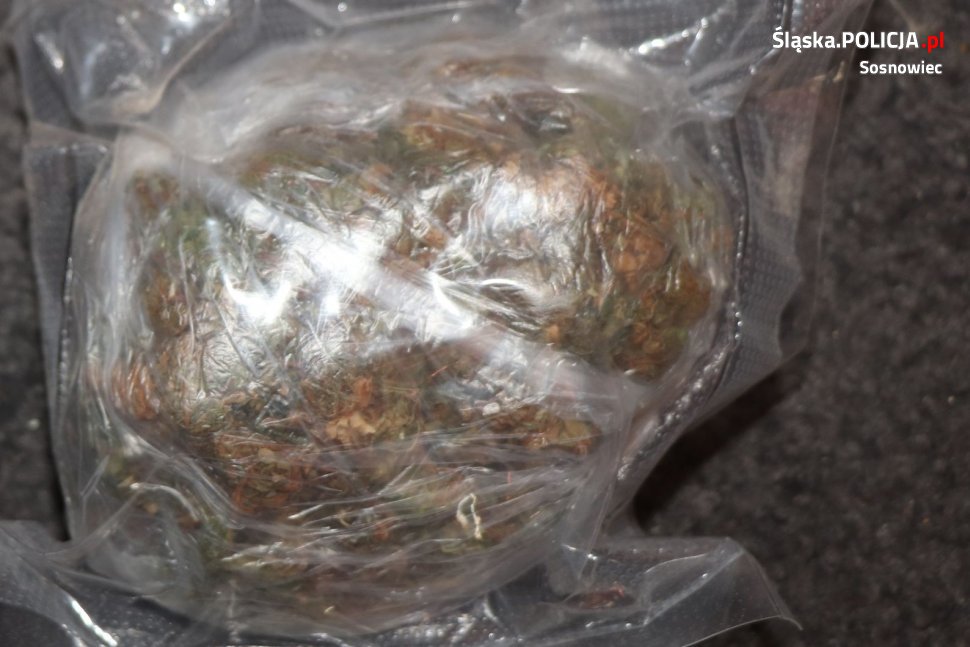 Uprawiali konopie i mieli znaczne ilości narkotyków