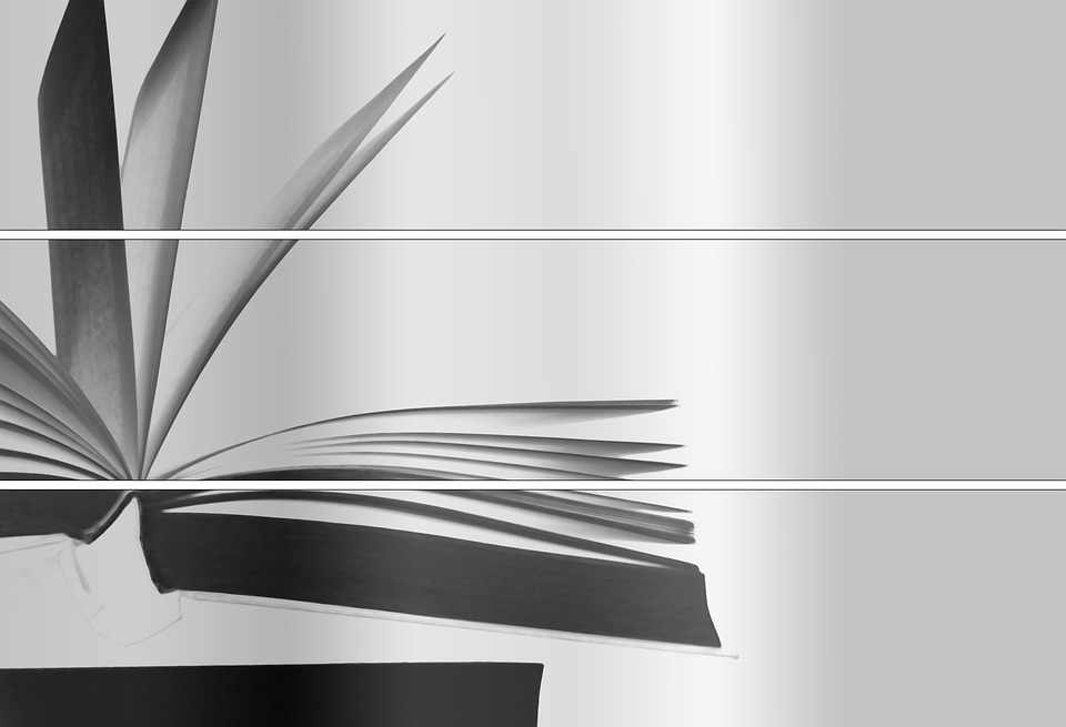 S.N.U.F.F. -  bestsellerowa postapokaliptyczna powieść