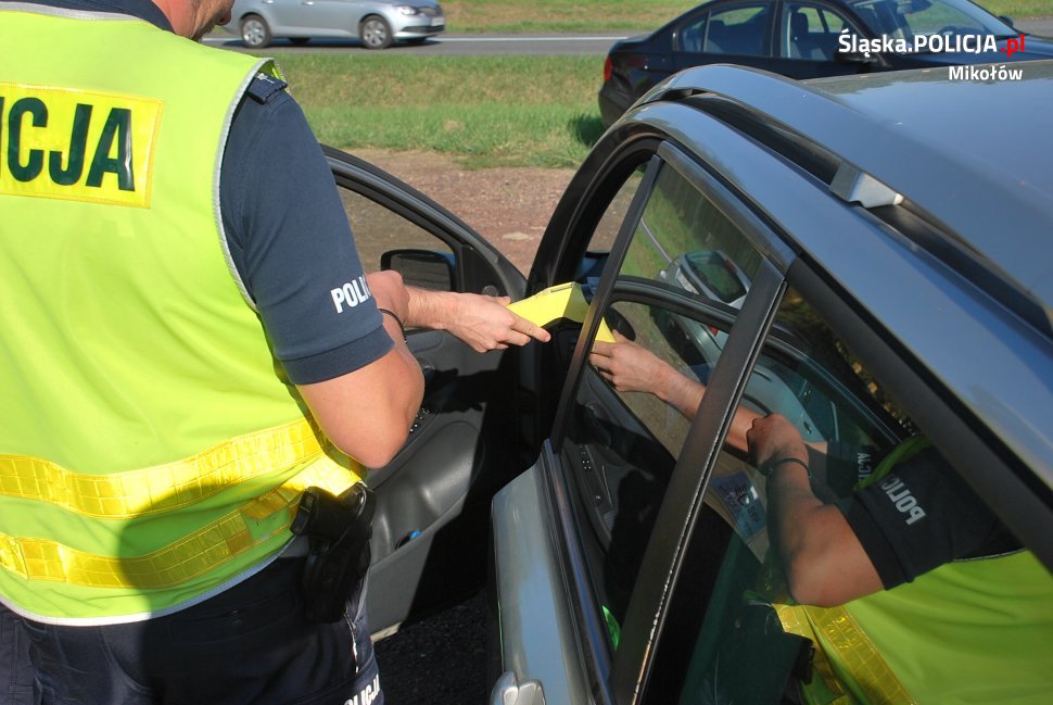 Projekt "EDWARD" w powiecie mikołowskim