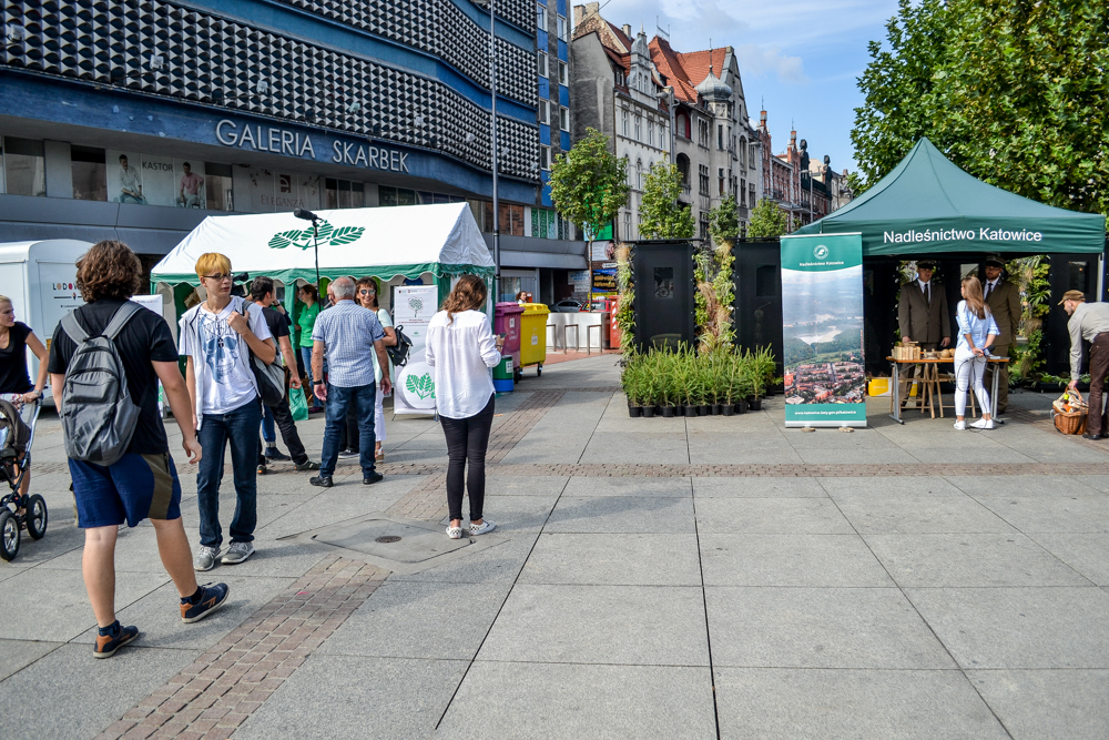 Oddaj śmieci, odbierz drzewko. Akcja na rynku!